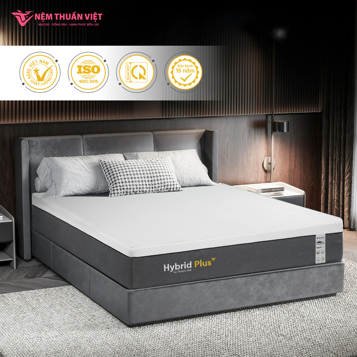 Hybrid plus 05