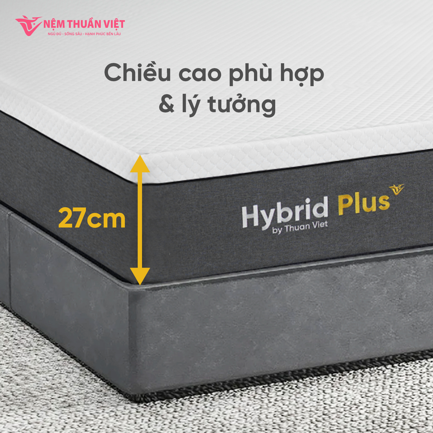 Hybrid plus 08