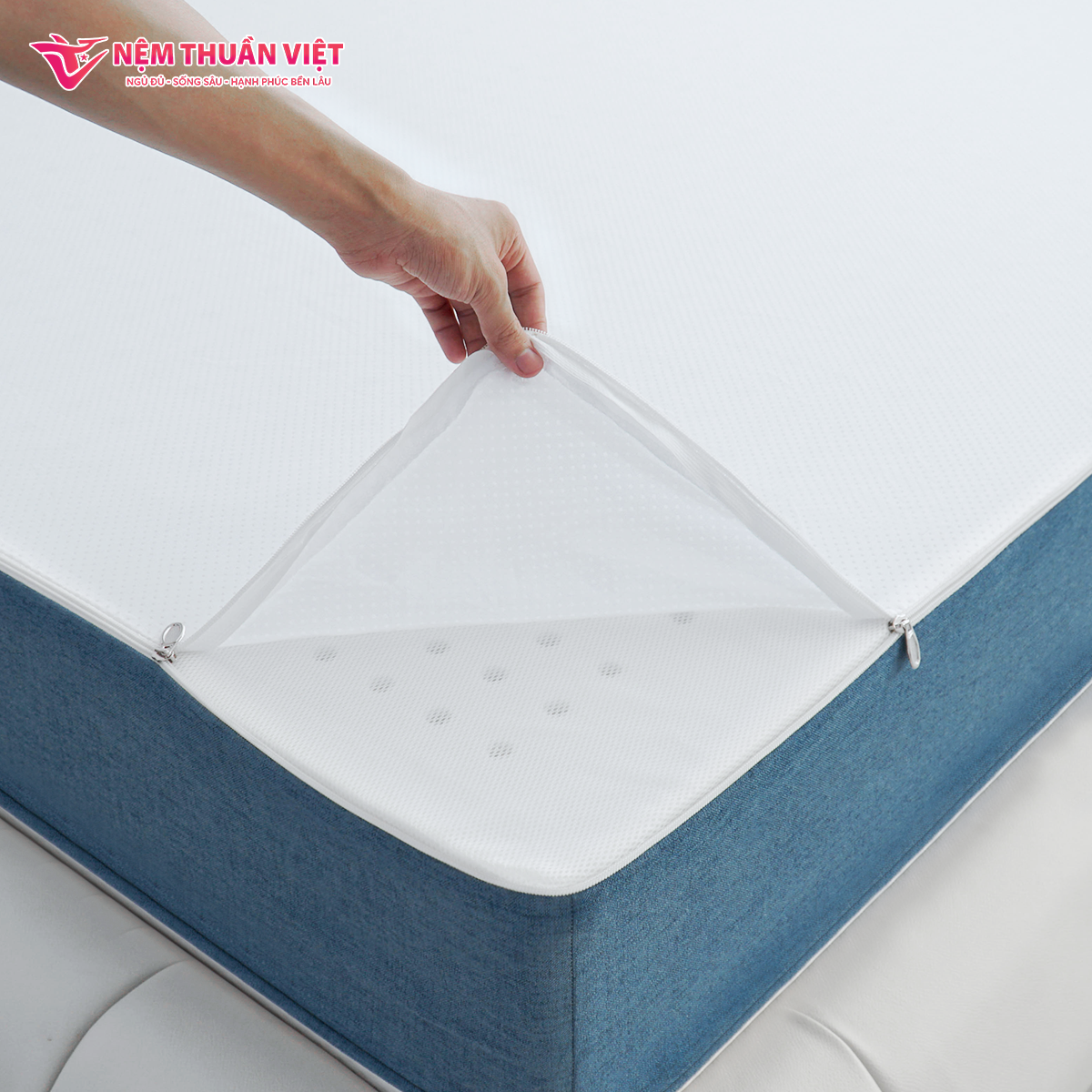 Nệm Foam phân vùng Thuần Việt 3’Zone (9)