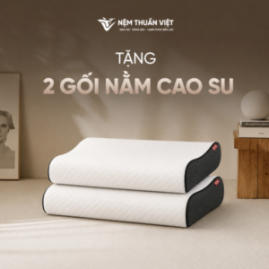 [Tặng – Áp dụng 10cm trở lên] 02 Gối Cao Su Thiên Nhiên Lượn Sóng Thuần Việt