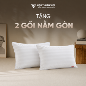 [Tặng] 02 Gối Nằm Gòn Cao Cấp Thuần Việt