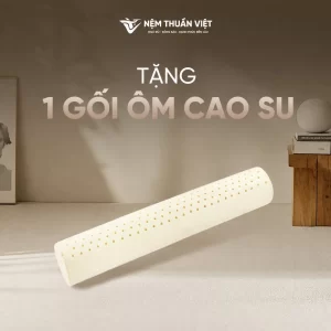 [Tặng] 1 Gối Ôm Cao Su Thuần Việt